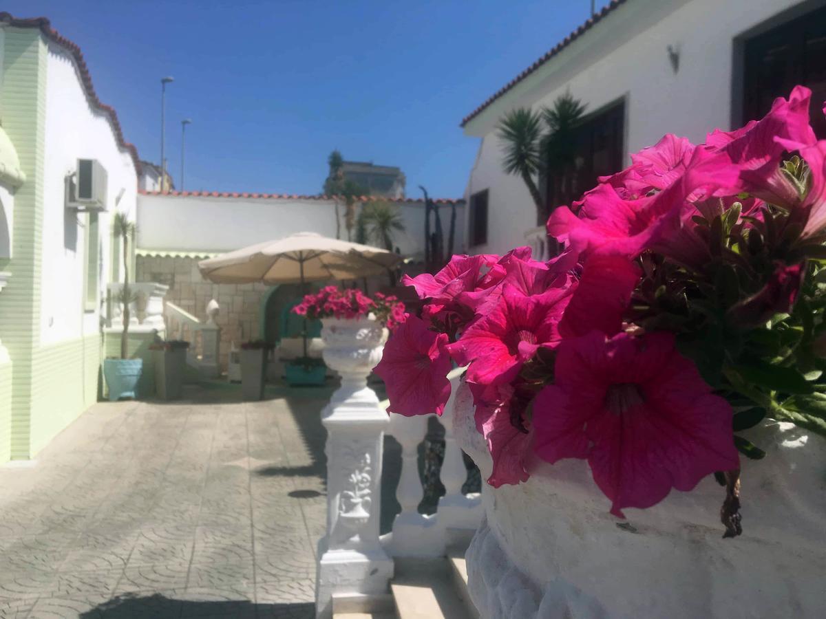 R&b Tyrrhenum Guest house